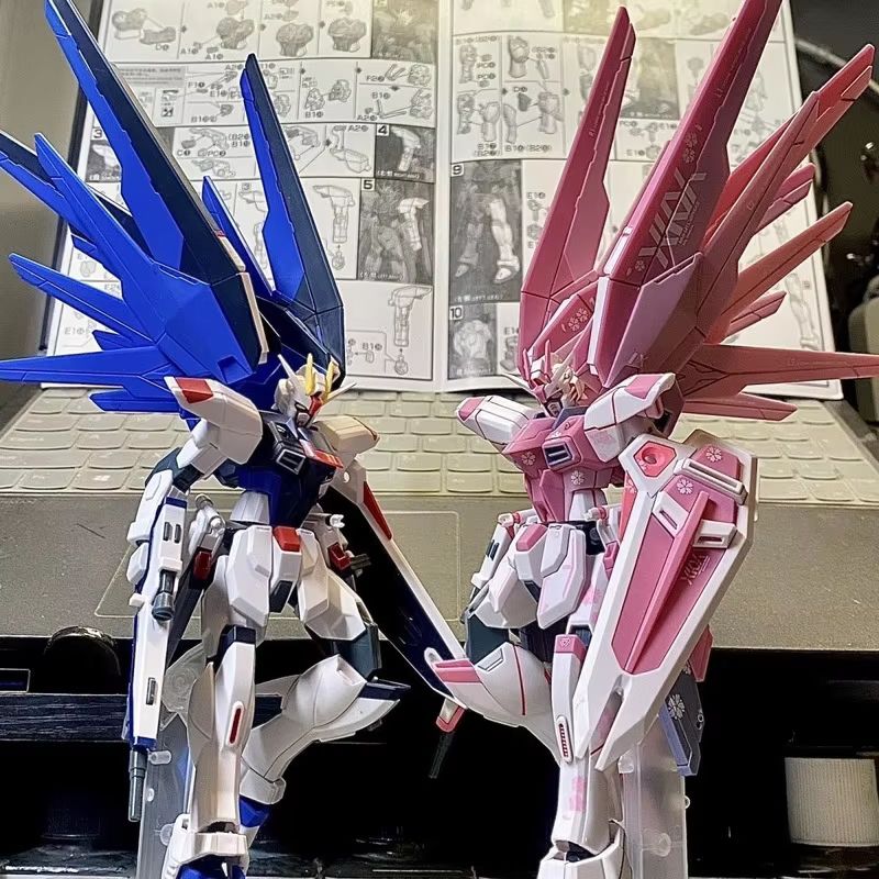 JMS HG 1/144 ZY-06 Freedom Ass - Bandai Gundam Hg avis et prix
